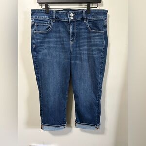 American Eagle Artist Crop jeans